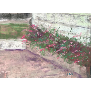 Bleeding Hearts
