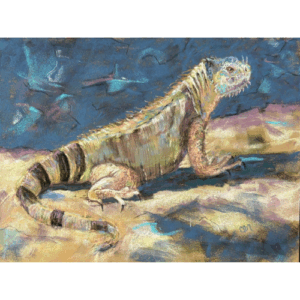 Sunning - 9.5 x 12.5